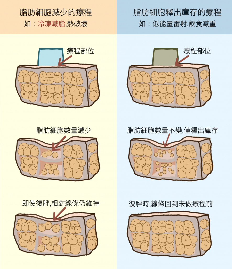 冷凍減脂/非侵入式體雕/酷塑/阿爾發/肌動減脂/比較/抽脂/塑身/冷凍溶脂/隔空減脂/細胞凋亡/冷凍原理/機器比較/ 局部線條